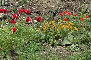 1750 Westside Road N Lot# 3 - Photo 37