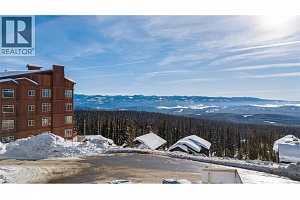 255 Feathertop Way Unit# 87 - Photo 3