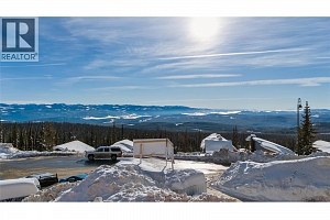 255 Feathertop Way Unit# 87 - Photo 7