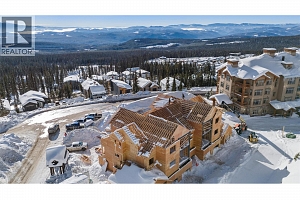 255 Feathertop Way Unit# 87 - Photo 9