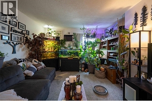 3710 25 Avenue - Photo 16