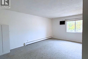 3710 25 Avenue - Photo 45