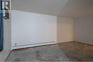 3710 25 Avenue - Photo 46