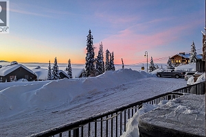 255 Raven Ridge Road Unit# 1 - Photo 19