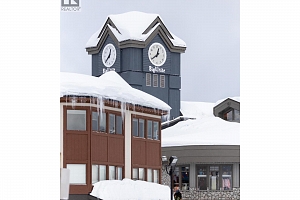 255 Raven Ridge Road Unit# 1 - Photo 38