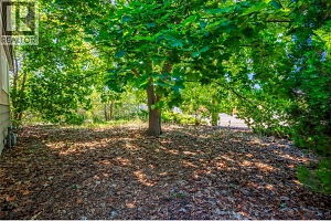455 Donhauser Road - Photo 36