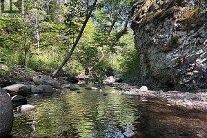 4495 Maxwell Road - Photo 82