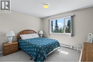 4931 Snowpines Road Unit# C - Photo 12