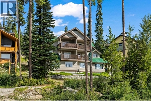 4931 Snowpines Road Unit# C - Photo 21