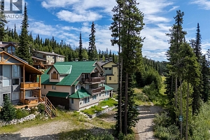 4931 Snowpines Road Unit# C - Photo 25