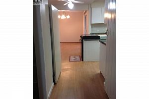 104 George Street - Photo 10