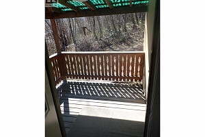 104 George Street - Photo 36