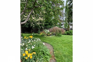 812 Paret Road - Photo 5