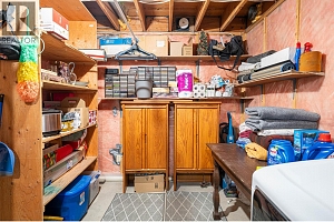11810 Lochhaven Drive - Photo 50