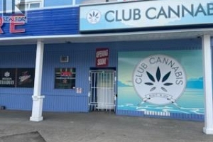 1064 Trans Canada Highway - Photo 4