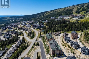 255 Feathertop Way Unit# 7 - Photo 48