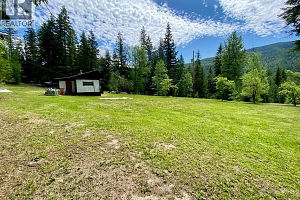 1433 Creighton Valley Road - Photo 11