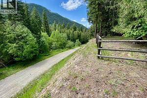 1433 Creighton Valley Road - Photo 12