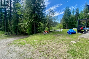 1433 Creighton Valley Road - Photo 3