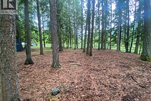 1433 Creighton Valley Road - Photo 47