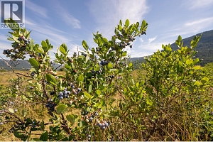 184 Monks Road - Photo 9