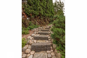 11027 Eva Road Lot# 57 - Photo 56