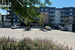 881 Academy Way Unit# 210 - Photo 2