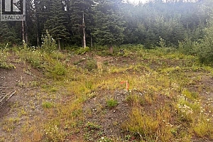 9890 Cathedral Drive - Photo 2