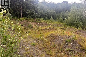 9890 Cathedral Drive - Photo 3