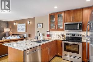 5030 Snowbird Way Unit# 208 - Photo 10