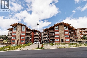 5030 Snowbird Way Unit# 208 - Photo 23