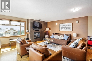 5030 Snowbird Way Unit# 208 - Photo 4