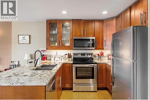 5030 Snowbird Way Unit# 208 - Photo 9
