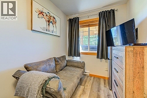 5015 Snowbird Way Unit# 3 - Photo 37