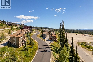 5015 Snowbird Way Unit# 3 - Photo 46