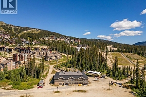 5015 Snowbird Way Unit# 3 - Photo 48