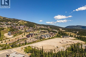 5015 Snowbird Way Unit# 3 - Photo 6