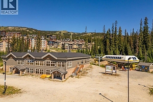 5015 Snowbird Way Unit# 3 - Photo 7