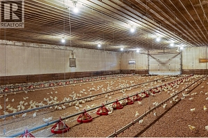 40 Mathews Road - Photo 26