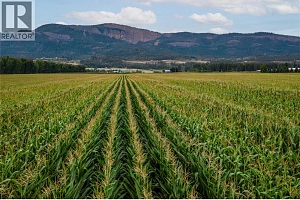 40 Mathews Road - Photo 35