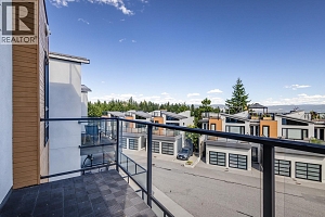 1818 Peak Point Court Unit# 12 - Photo 33