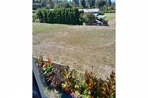 3155 Prospect Road - Photo 26