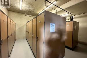 375 Raven Ridge Road Unit# 2208 - Photo 23