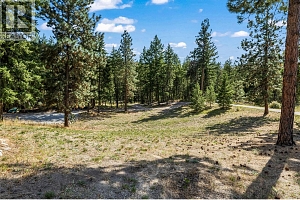 3700 Jean Road - Photo 60