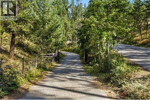 3700 Jean Road - Photo 62