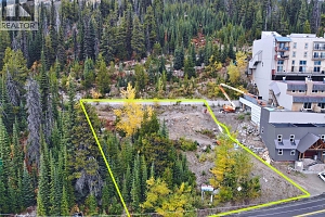 7450 Porcupine Road - Photo 8
