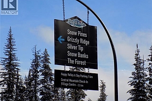 5940 Snow Pines Way Unit# 23 - Photo 10