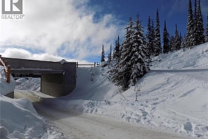 5940 Snow Pines Way Unit# 23 - Photo 11