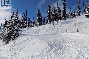 5940 Snow Pines Way Unit# 23 - Photo 12