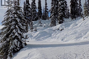 5940 Snow Pines Way Unit# 23 - Photo 13